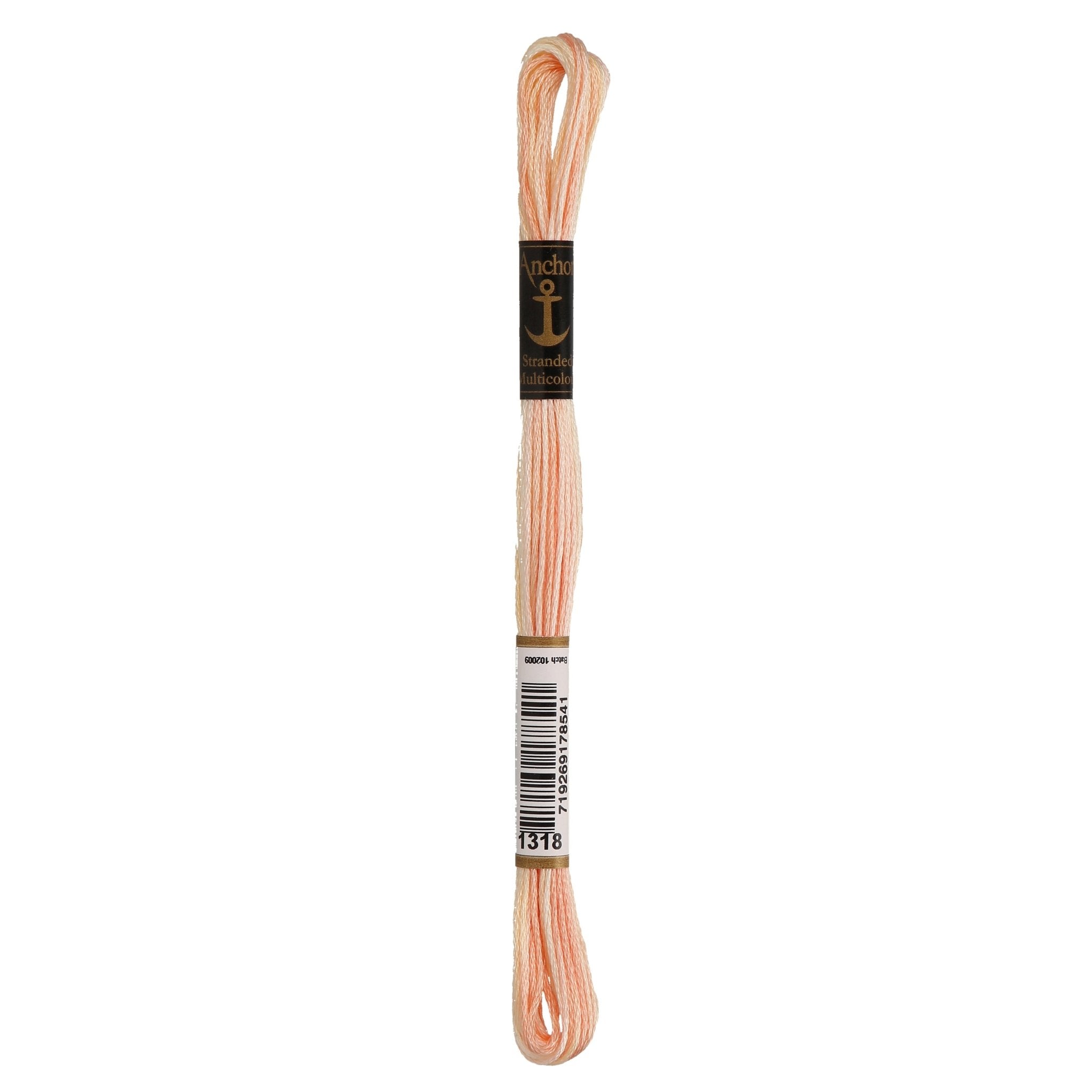 1318: Anchor Stranded Multi Coloured Cotton Skein - 8m | Buy Online from The Home Crafters