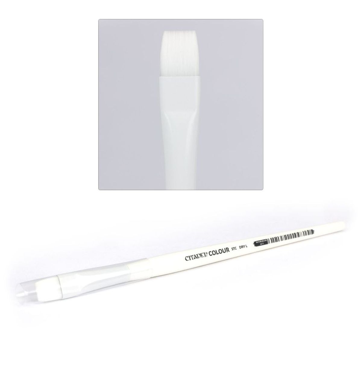 Citadel Synthetic Large Drybrush (L Dry) | Buy Online from The Home Crafters