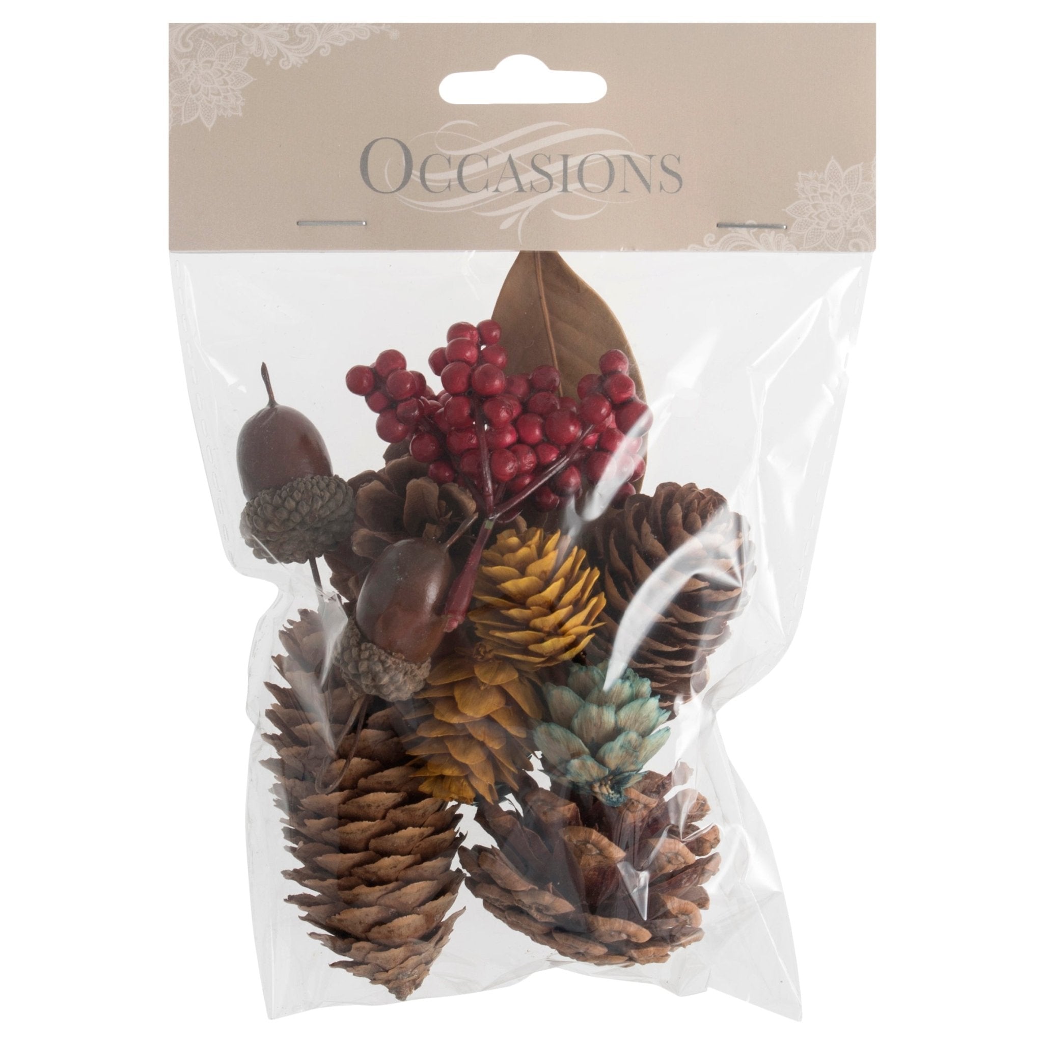 Natural Acorn Mix Bag: 45g | Buy Online from The Home Crafters