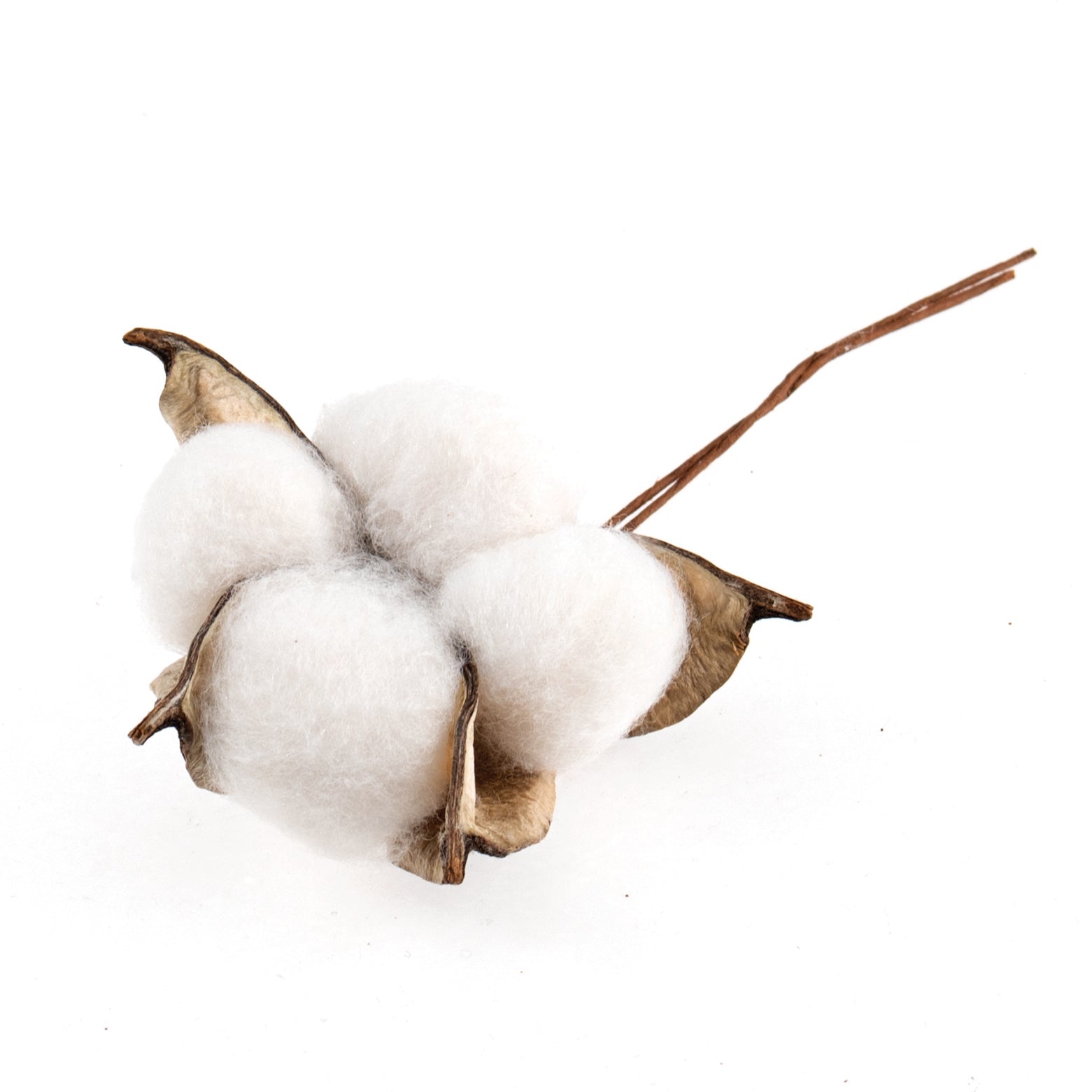 Cotton Plant on Wire - 2pc