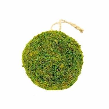 Hanging Moss Ball Topiary Base - 10cm | Buy Online from The Home Crafters