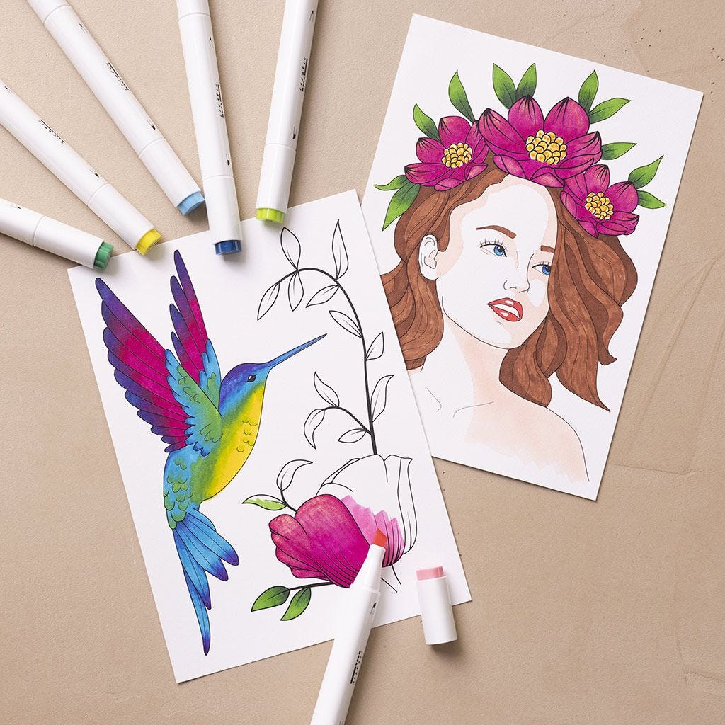 Starter Craft Kit: Drawing & Colouring with Alcohol Art Markers