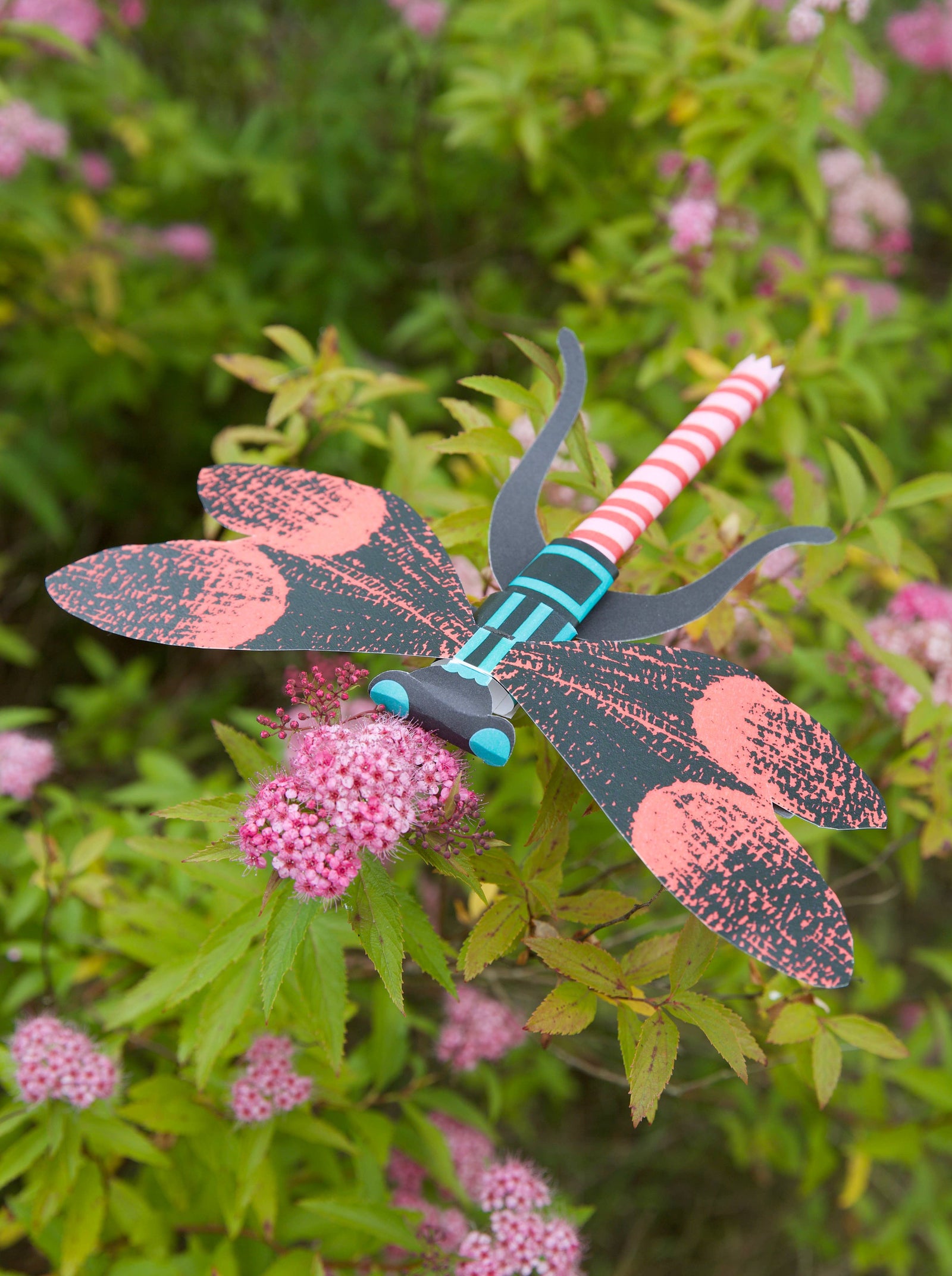 Royal Horticultural Society Make Your Own 3D Bugs Kit