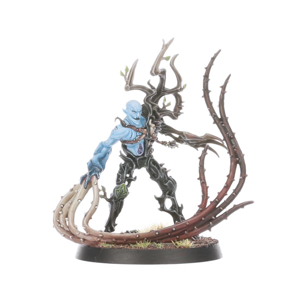 Regiments of Renown: Sylvaneth: The Twisted Branch | Buy Online from The Home Crafters