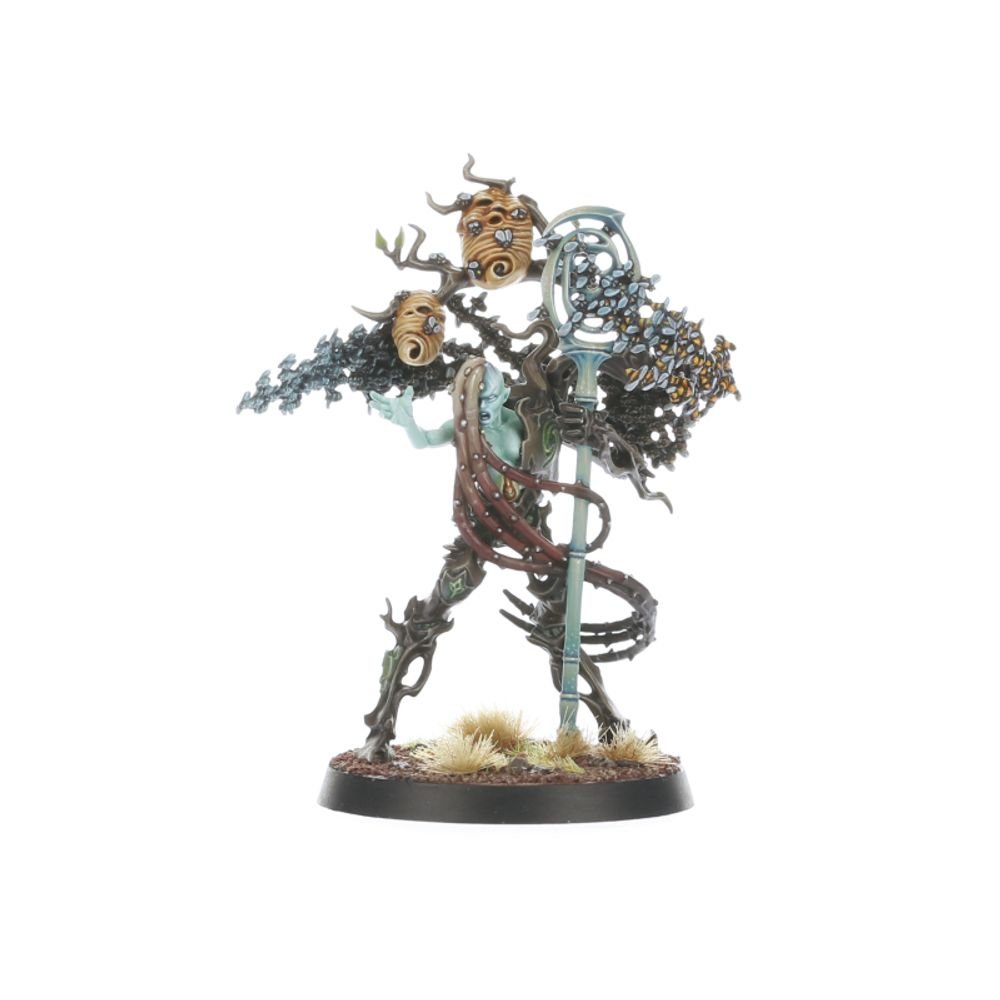 Regiments of Renown: Sylvaneth: The Twisted Branch | Buy Online from The Home Crafters