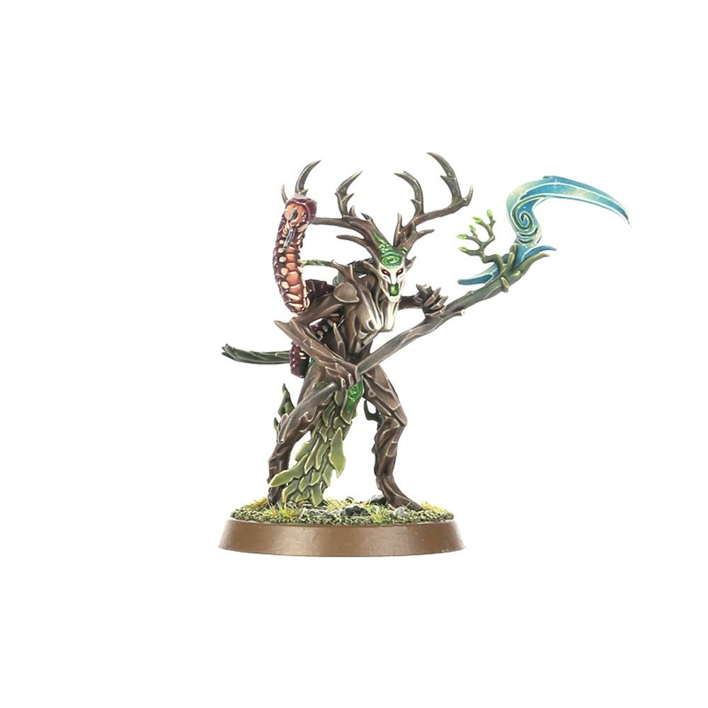 Regiments of Renown: Sylvaneth: The Twisted Branch | Buy Online from The Home Crafters