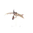 Tyranids: Gargoyle Brood | Buy Online from The Home Crafters