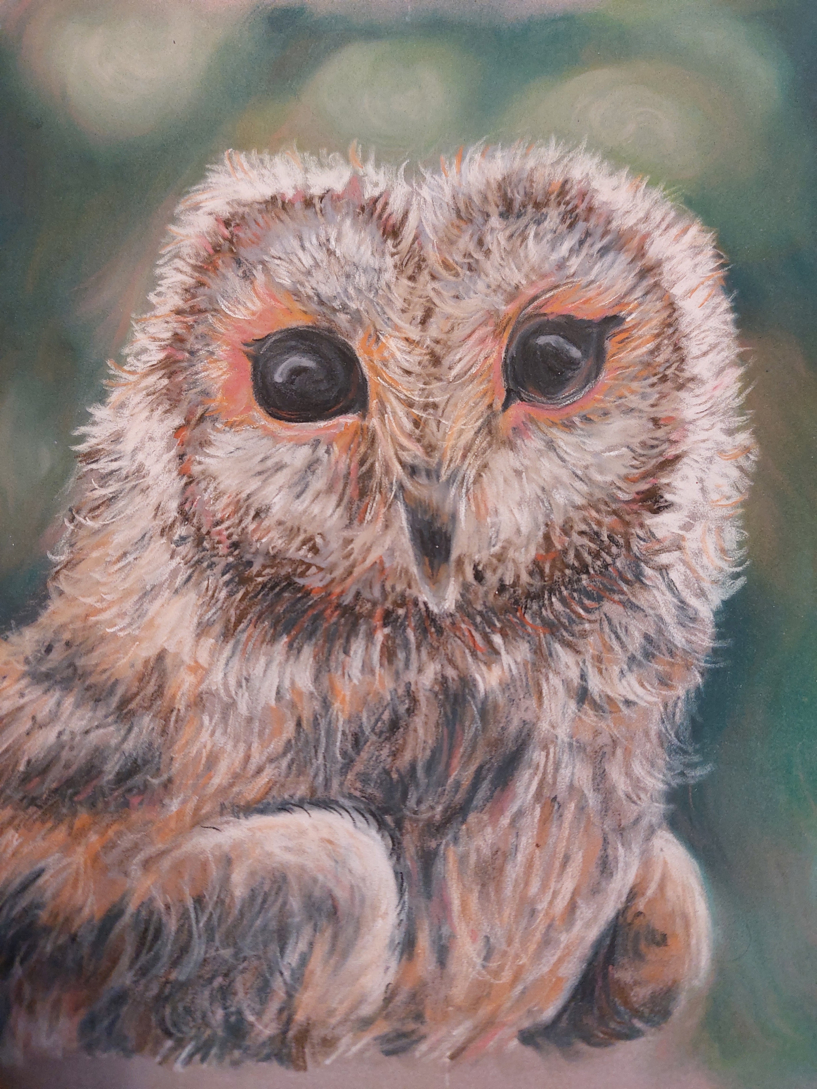 Fairy Fae Greetings Card - Owl