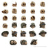 Resin Bits: Skulls & Bones - 1:48-1:35 Battlefield Skulls - 1000pc | Buy Online from The Home Crafters