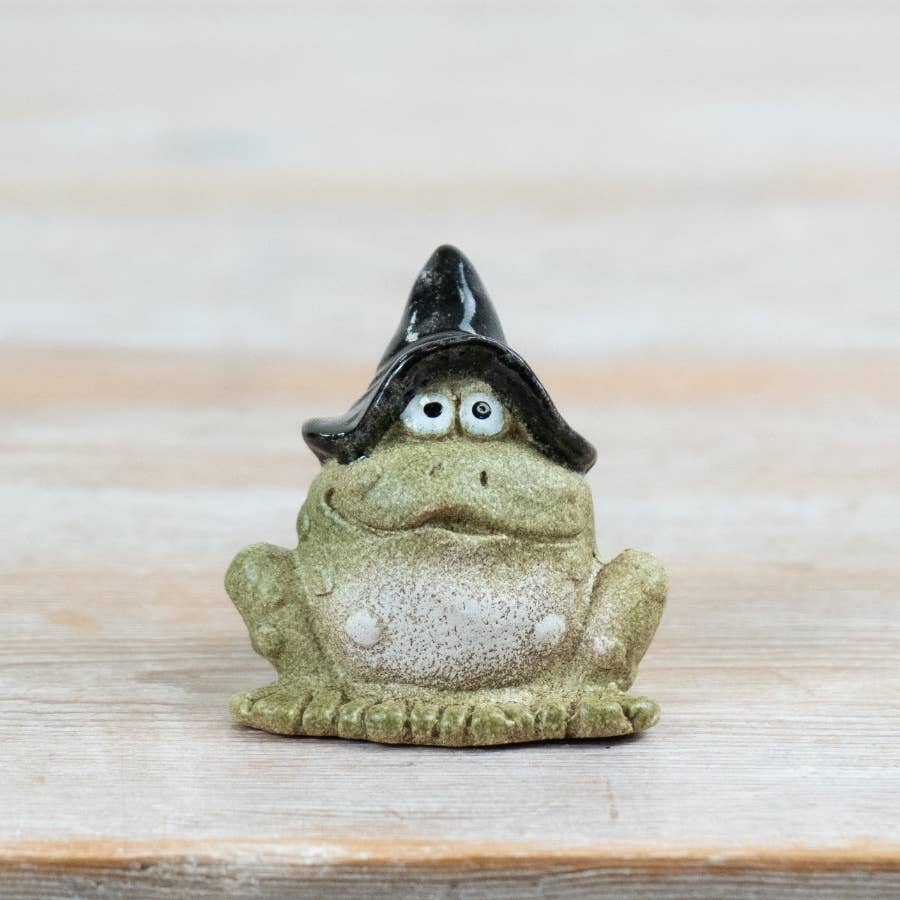 Little Lookers Wizard Frog Figurine – 6.5cm