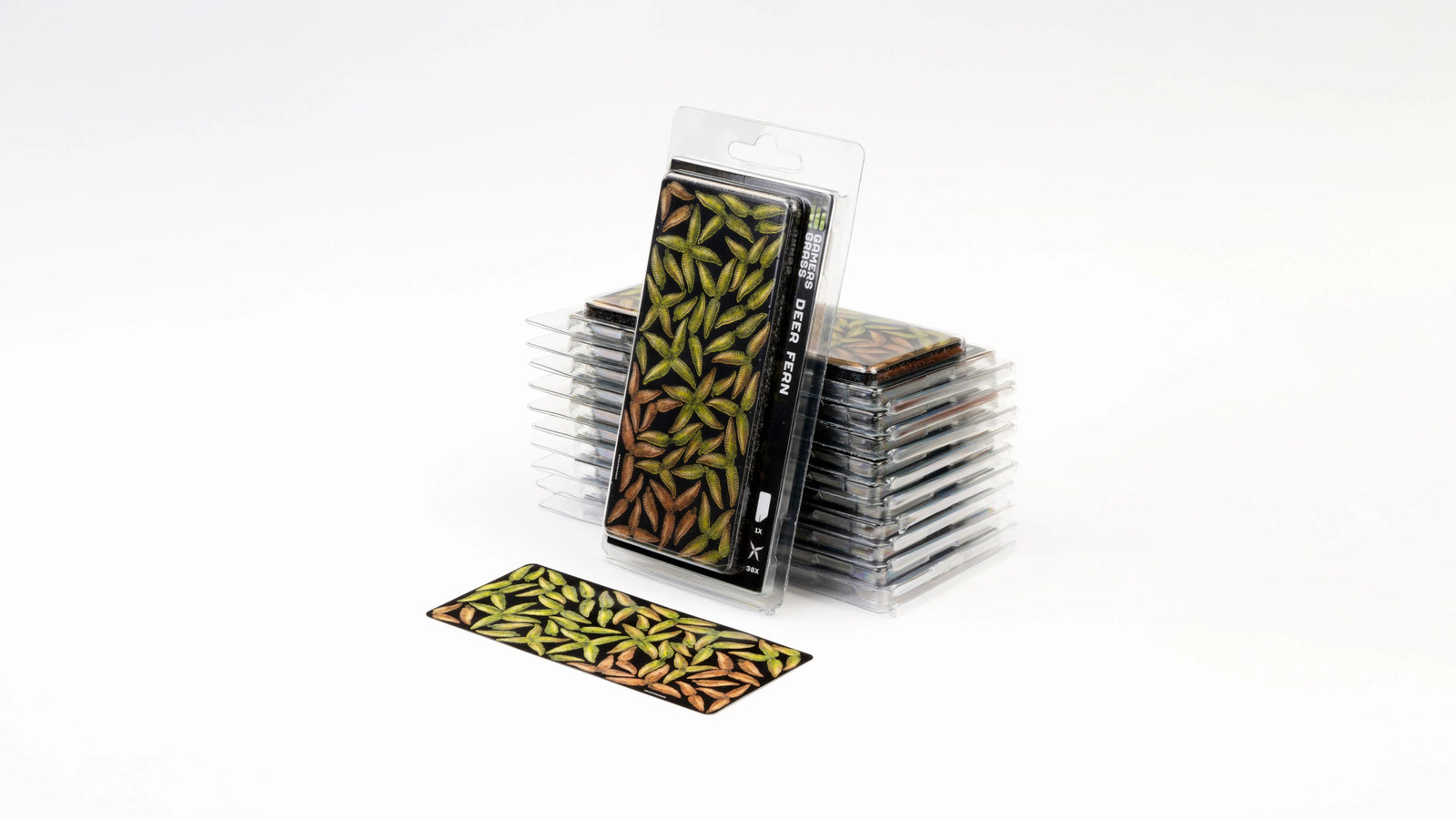 Gamers Grass Laser Plants - Deer Fern | Buy Online from The Home Crafters
