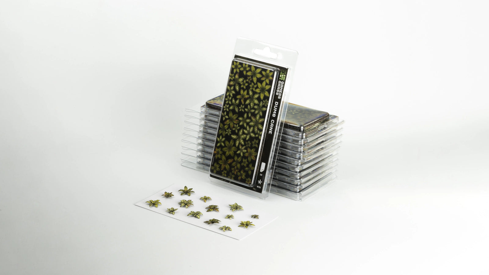 Gamers Grass Laser Plants - Dumb Cane | Buy Online from The Home Crafters