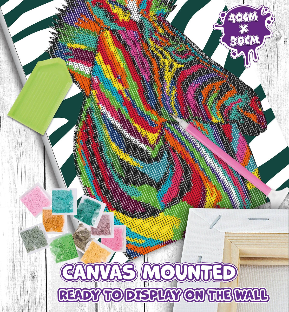 Zebra Diamond painting