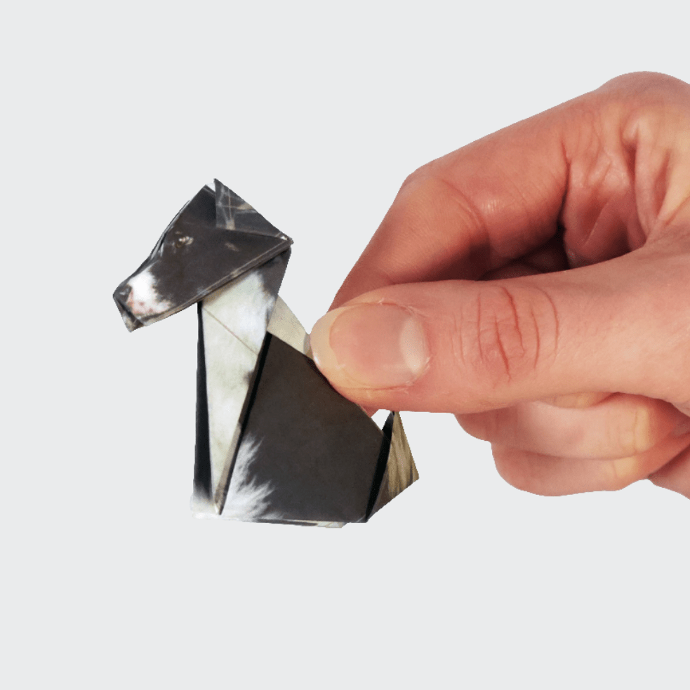Paper Pups | Perfect For Dog Lovers | Cute DIY Origami Kit | Buy Online from The Home Crafters