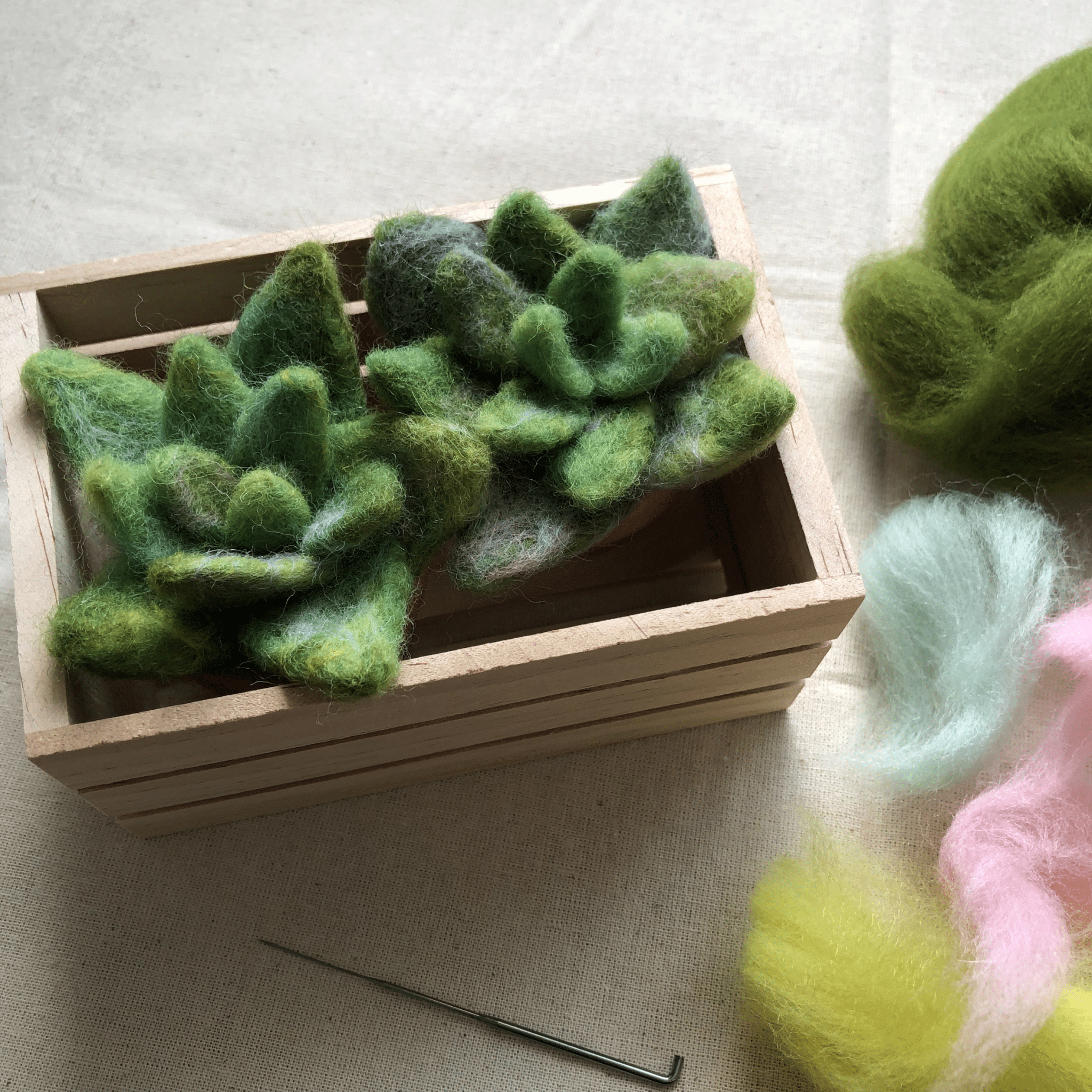 Beginners Guide to Needle Felting: Succulent - Friday 17th July 10am | Buy Online from The Home Crafters