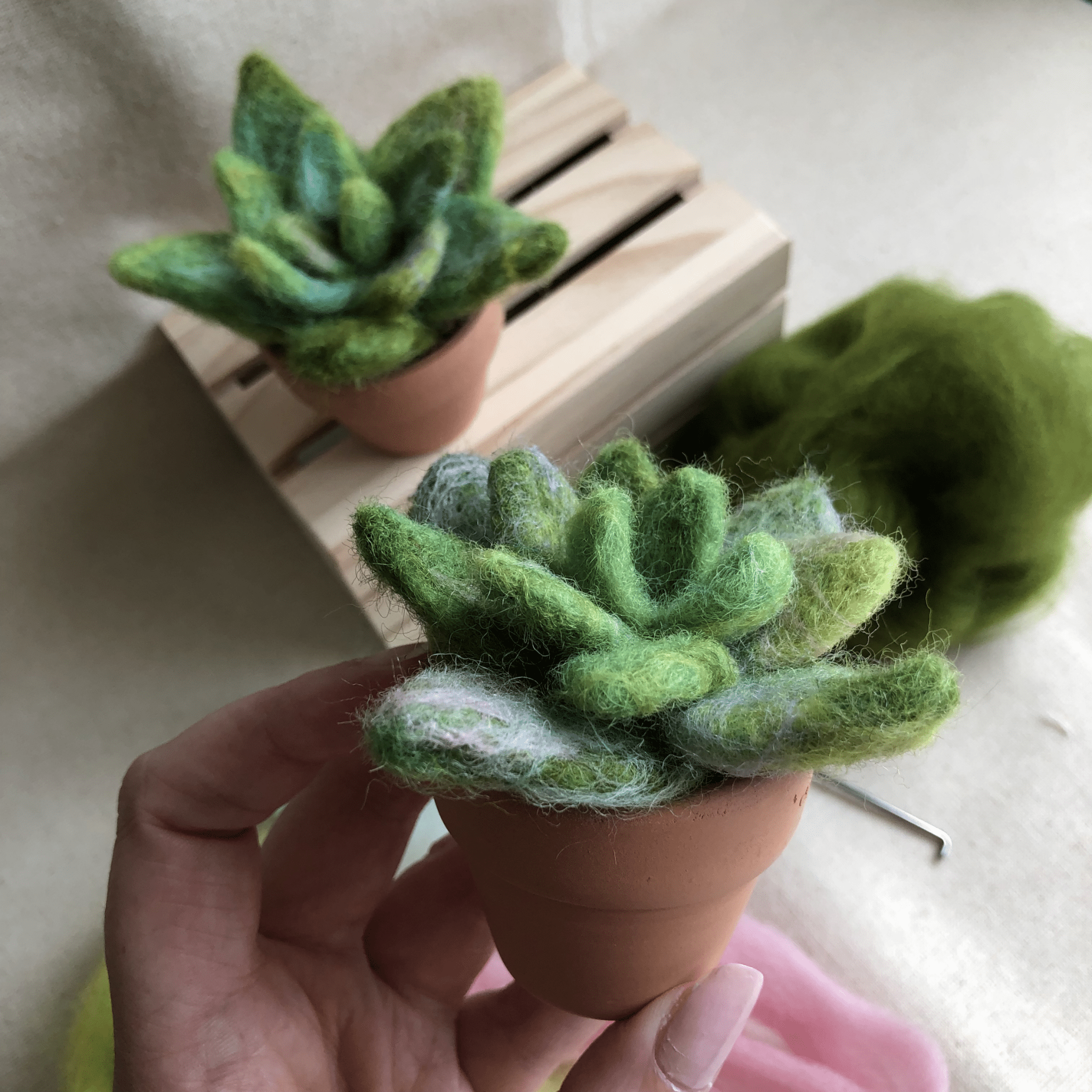 Beginners Guide to Needle Felting: Succulent - Friday 17th July 10am | Buy Online from The Home Crafters