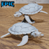 Sea Turtle 4804 by Epic Miniatures - Mysterious Ocean | DnD Tabletop Miniature | Buy Online from The Home Crafters