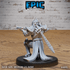 Platinum Paladin 4893 - 4895 by Epic Miniatures | D&D Tabletop Miniatures | Buy Online from The Home Crafters