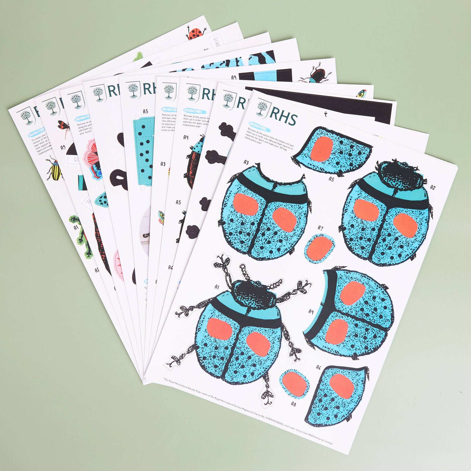 Royal Horticultural Society Make Your Own 3D Bugs Kit