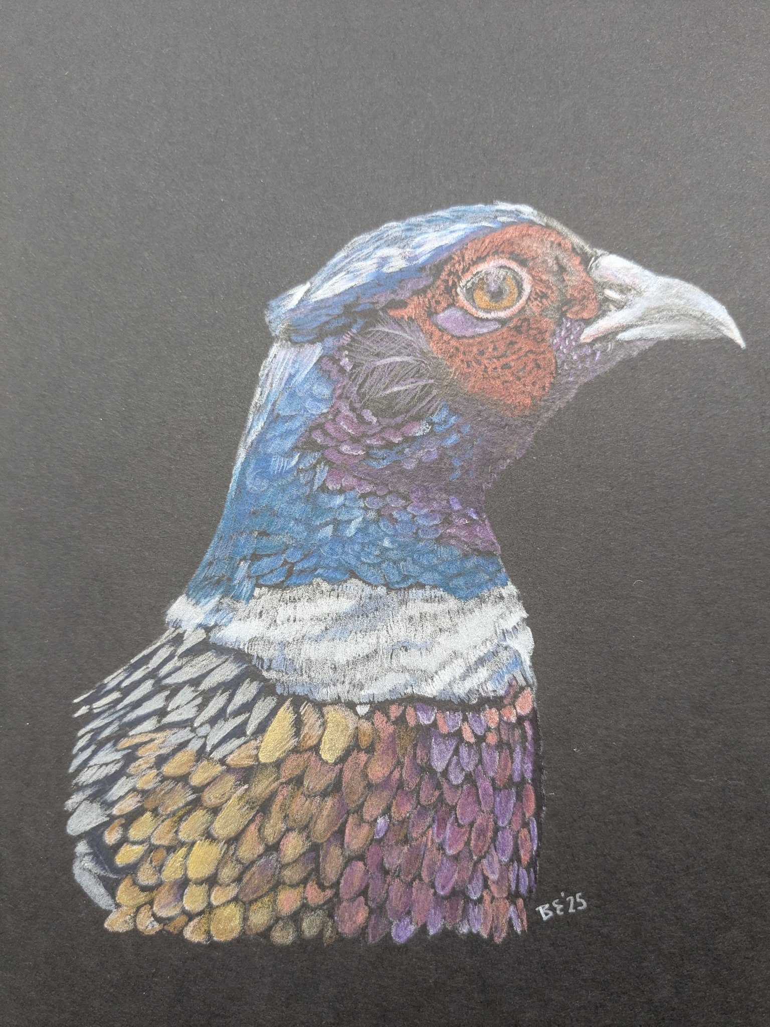 <b>2026</b> Art for Beginners - Getting Started in Coloured Pencil - monthly on a Saturday | Buy Online from The Home Crafters