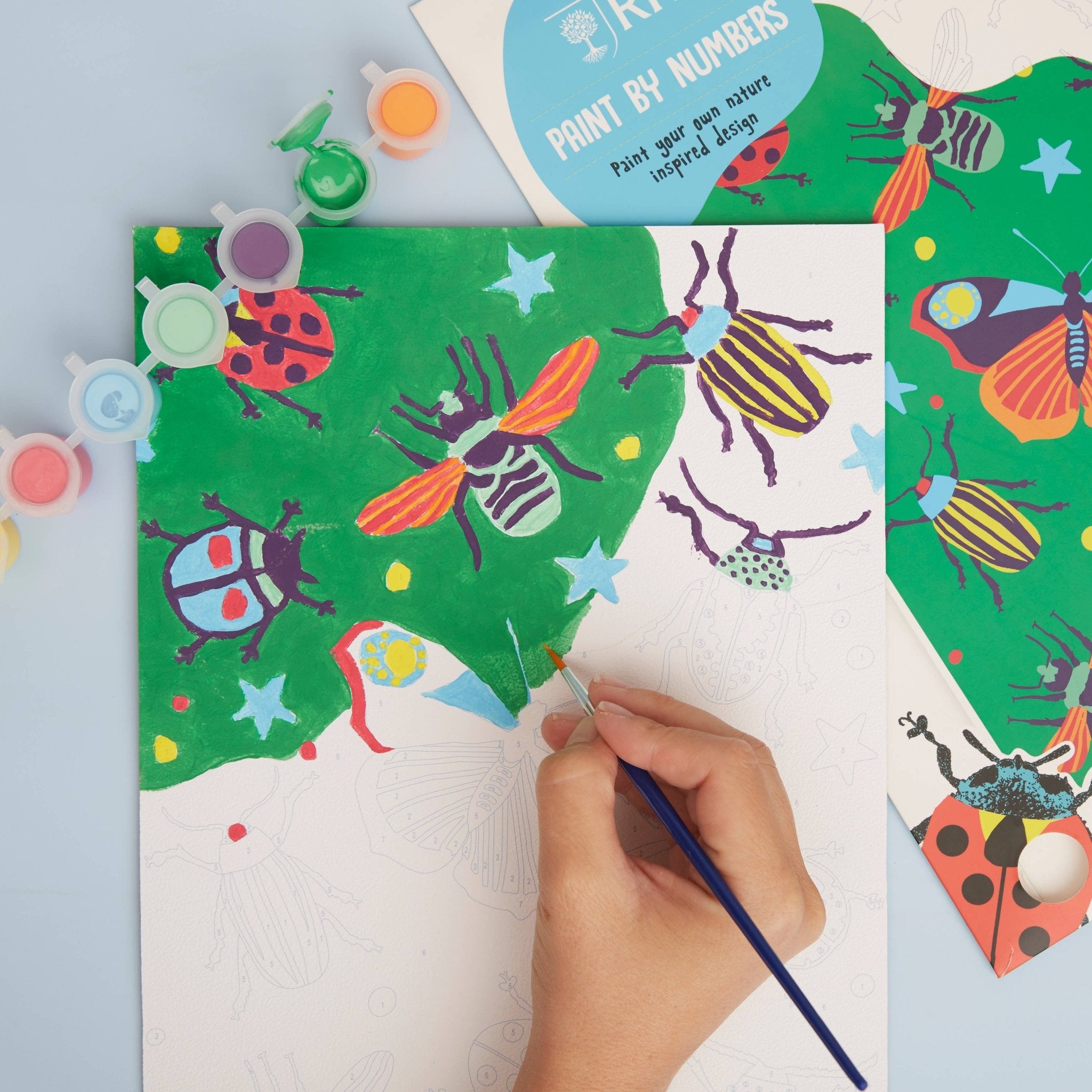 RHS Paint By Numbers For Kids: Bugs | Buy Online from The Home Crafters