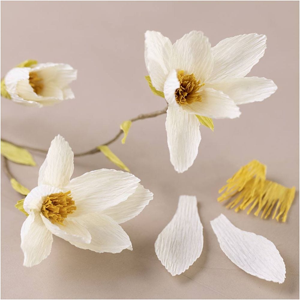 Mini Craft Kit: Crepe Paper - Magnolia Branch