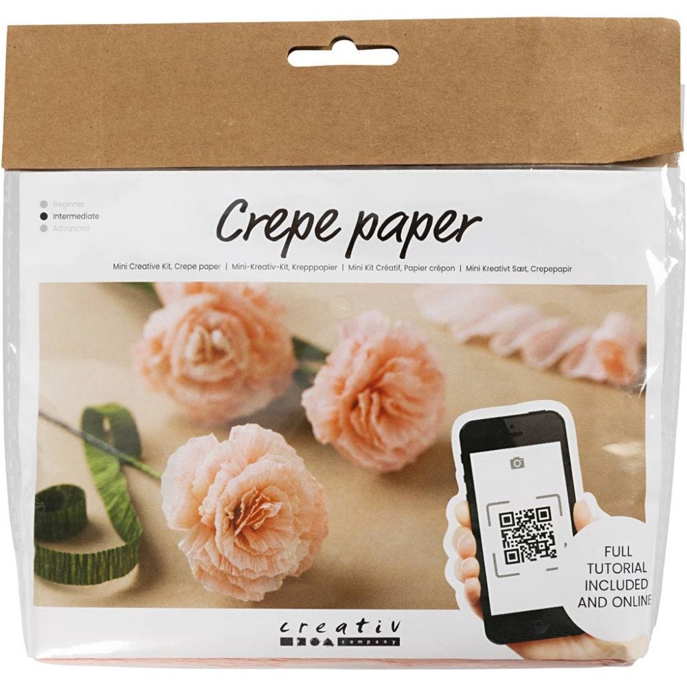 Mini Craft Kit: Crepe Paper - Carnations