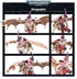 Tyranids: Gargoyle Brood | Buy Online from The Home Crafters