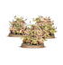 Spearhead: Maggotkin of Nurgle: Bubonic Cell | Buy Online from The Home Crafters