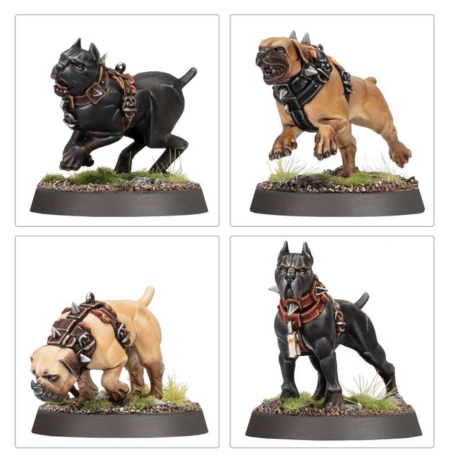 Cities Of Sigmar: Ven Densts Hounds | Buy Online from The Home Crafters