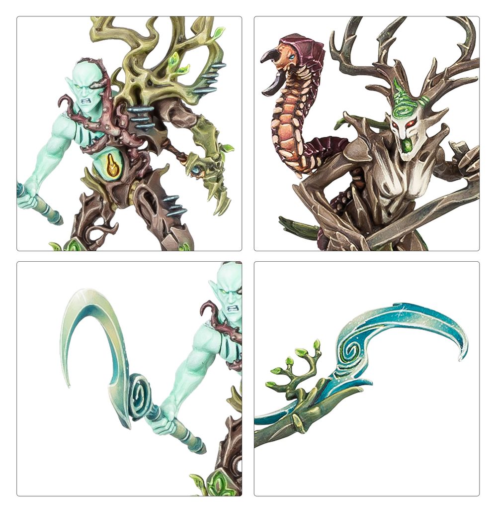 Regiments of Renown: Sylvaneth: The Twisted Branch | Buy Online from The Home Crafters