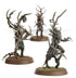 AoS Battleforce Box - Sylvaneth: Outcast Spitegrove | Buy Online from The Home Crafters