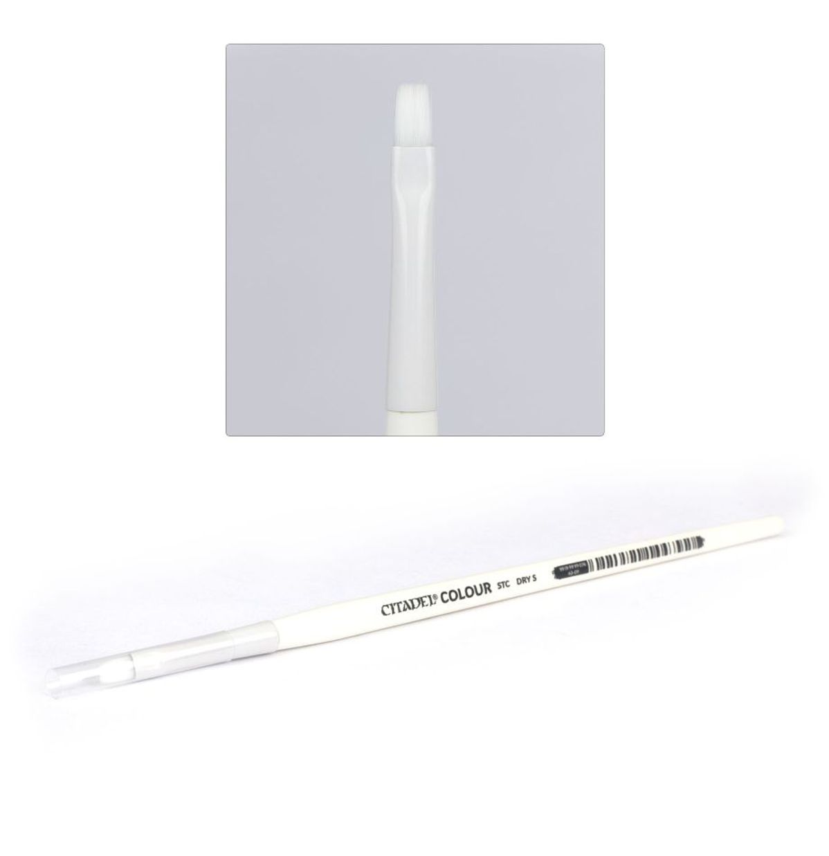Citadel Synthetic Small Drybrush (S Dry) | Buy Online from The Home Crafters