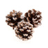 Frosted Pine Cones: Frosted: 5cm - 9pc | Buy Online from The Home Crafters