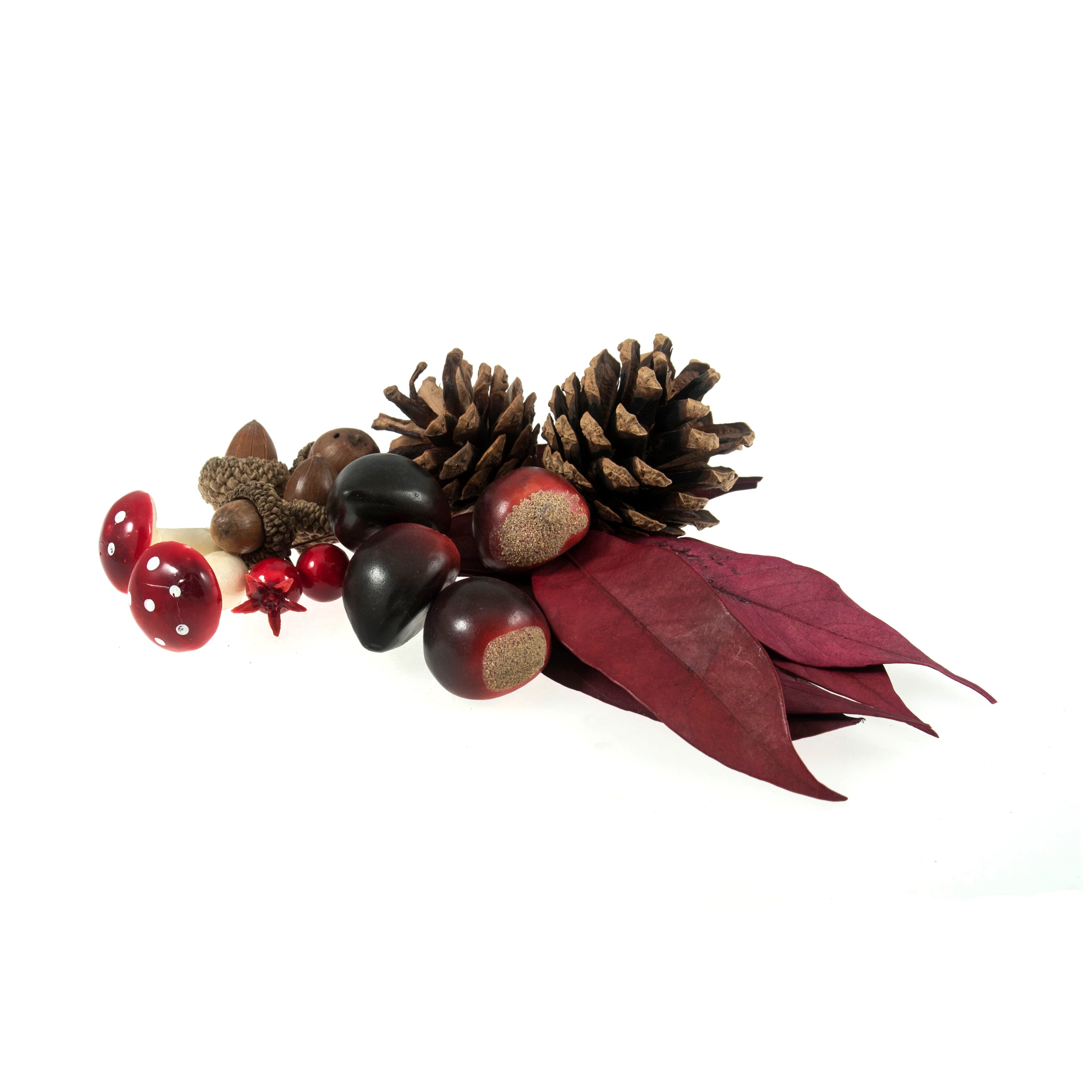 Craft Wreath Mix: Toadstools and Conkers - 50g