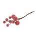 Frosted Snowberries on Wire: Red - 18pc | Buy Online from The Home Crafters