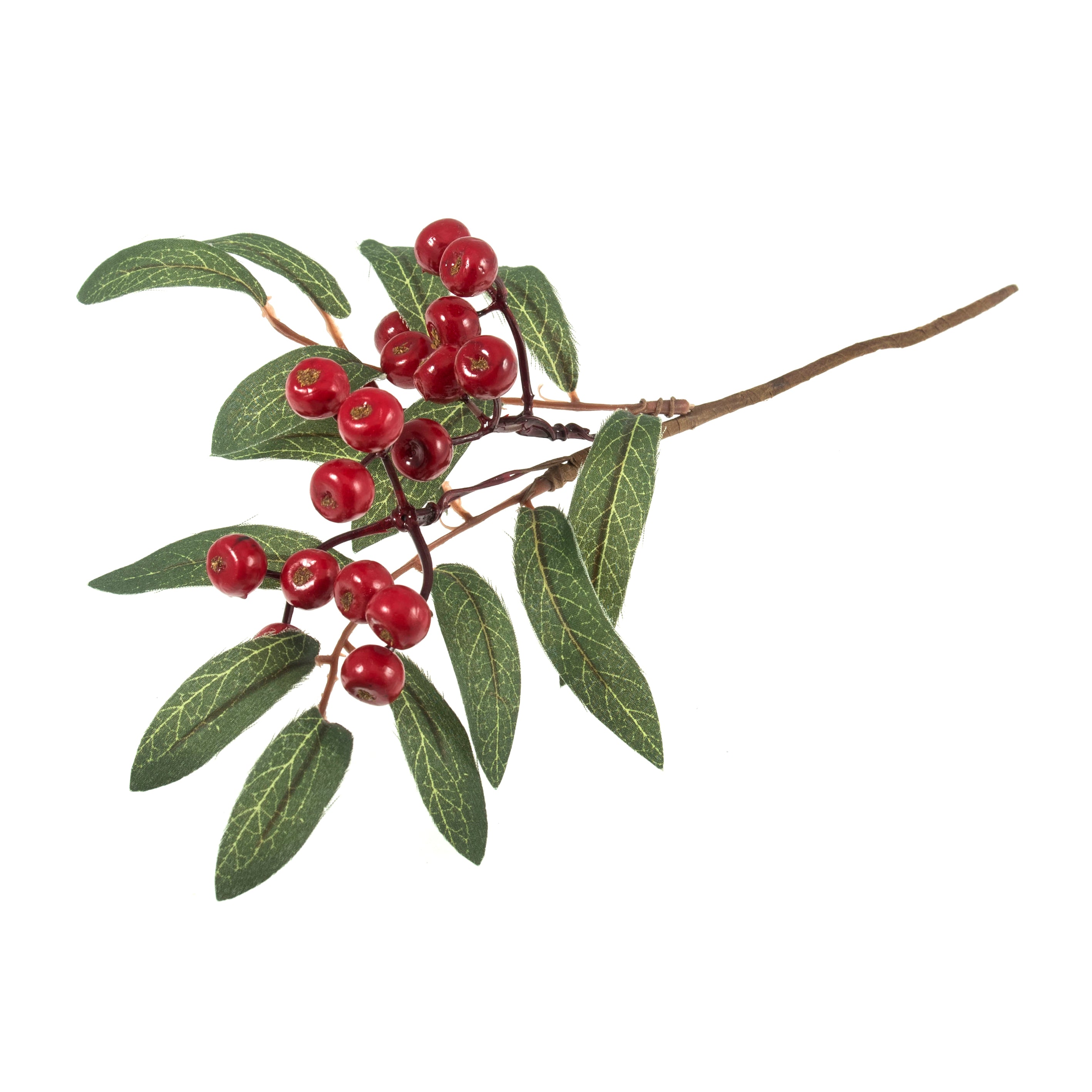 Huckleberry Branch: 25cm