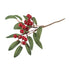 Huckleberry Branch: 25cm
