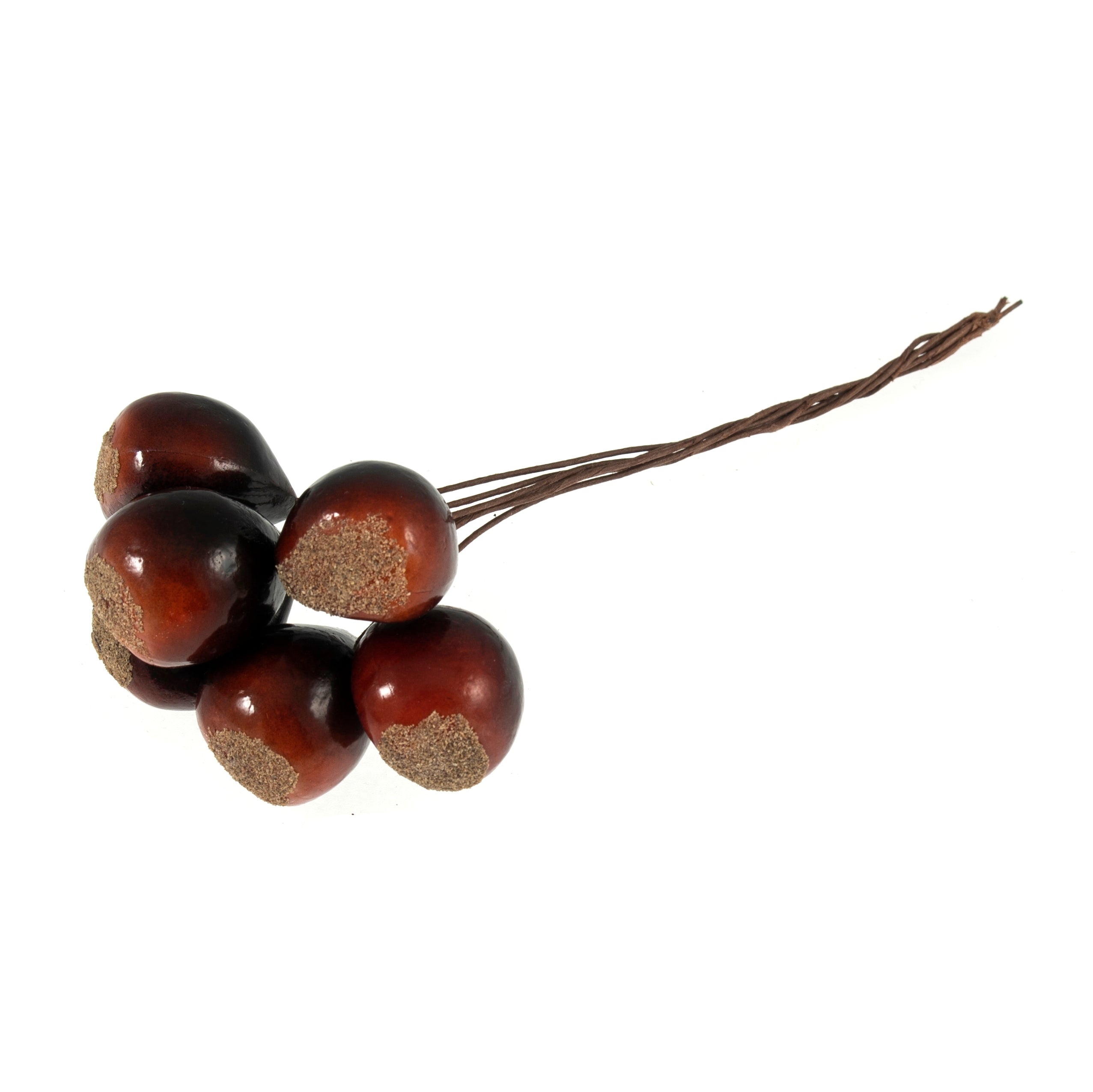 Horse Chestnuts on Wire: 6pc