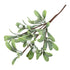 Frosted Mistletoe Stem | Buy Online from The Home Crafters