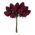 Pick: Raspberry: 12 Berries per bunch | Buy Online from The Home Crafters