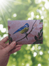 Art Print Greetings Card - Bird Series - Bluetit | Buy Online from The Home Crafters