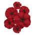 Paper Flowers: Assorted Poppies - 6pc