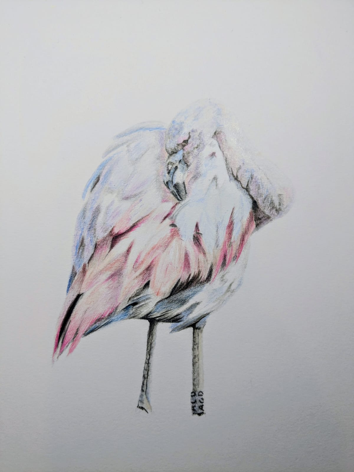 <b>2026</b> Art for Beginners - Getting Started in Coloured Pencil - monthly on a Saturday | Buy Online from The Home Crafters