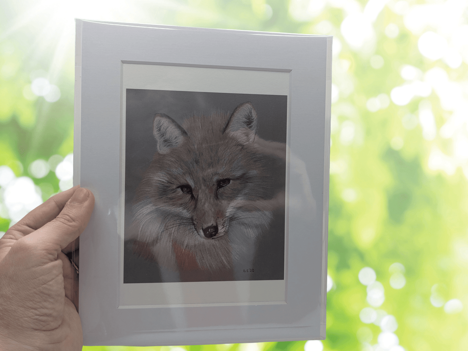 Fox Giclee Art Print - A5 | Buy Online from The Home Crafters