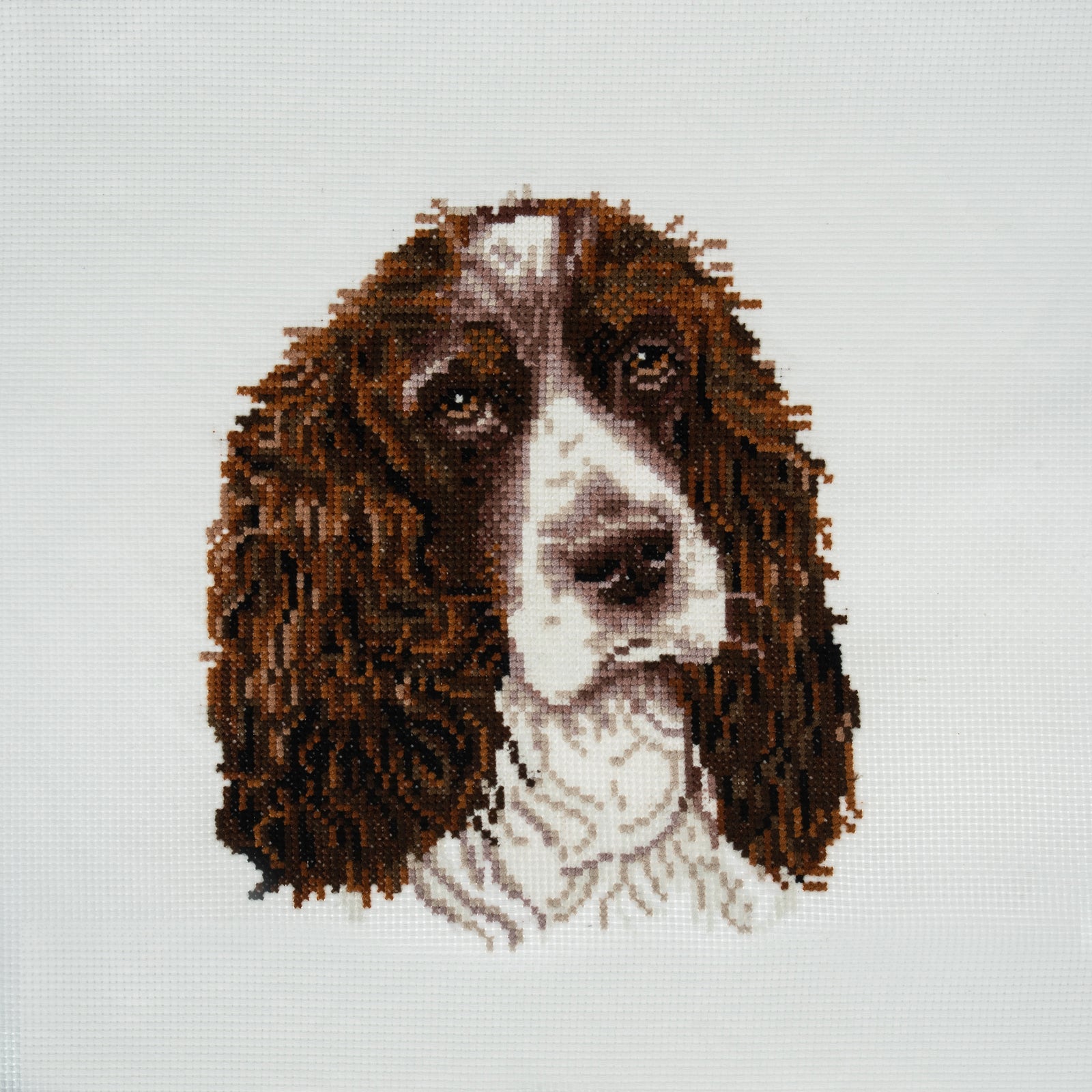 Trimits Large Counted Cross Stitch Kit: Springer Spaniel