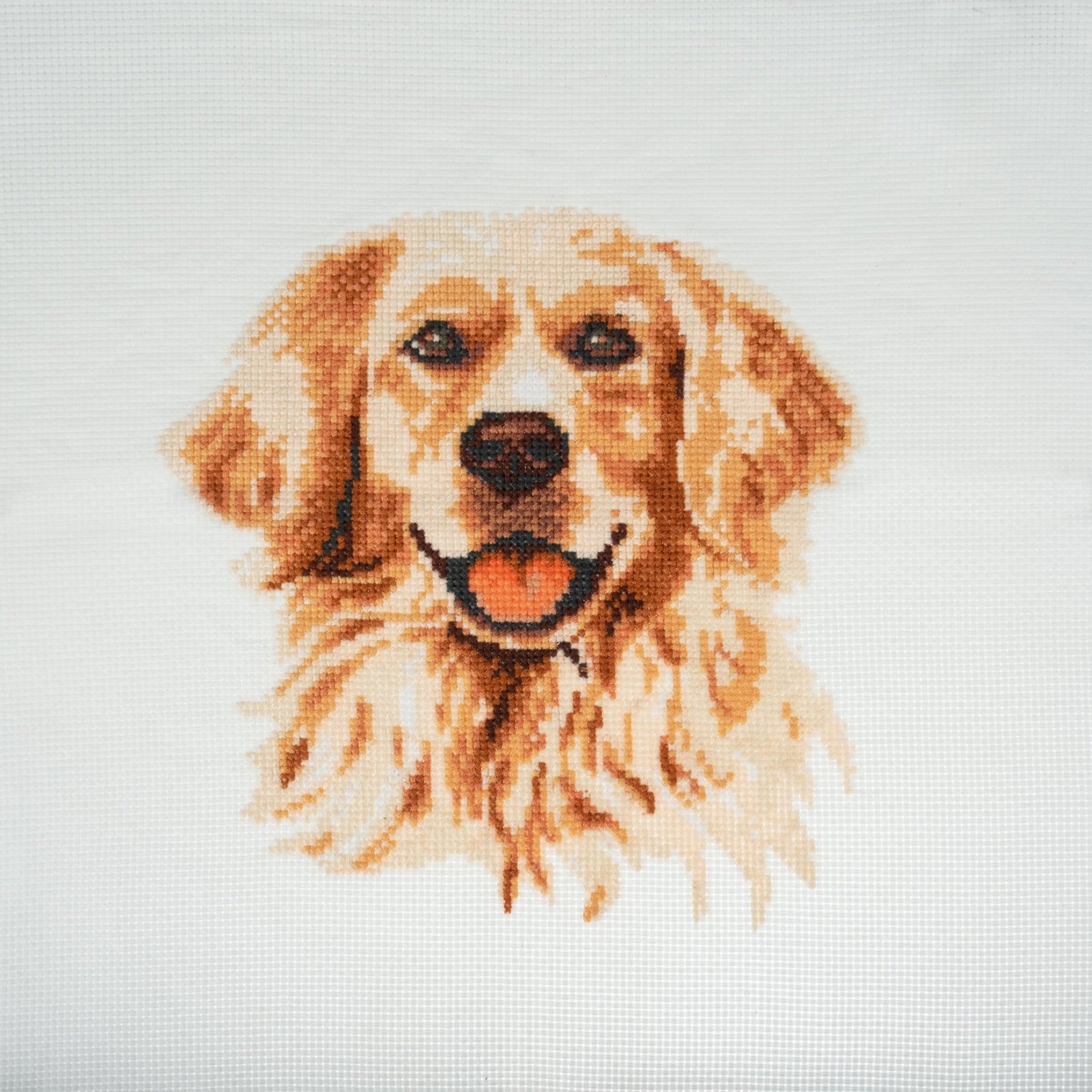 Trimits Large Counted Cross Stitch Kit: Golden Lab Retriever | Buy Online from The Home Crafters