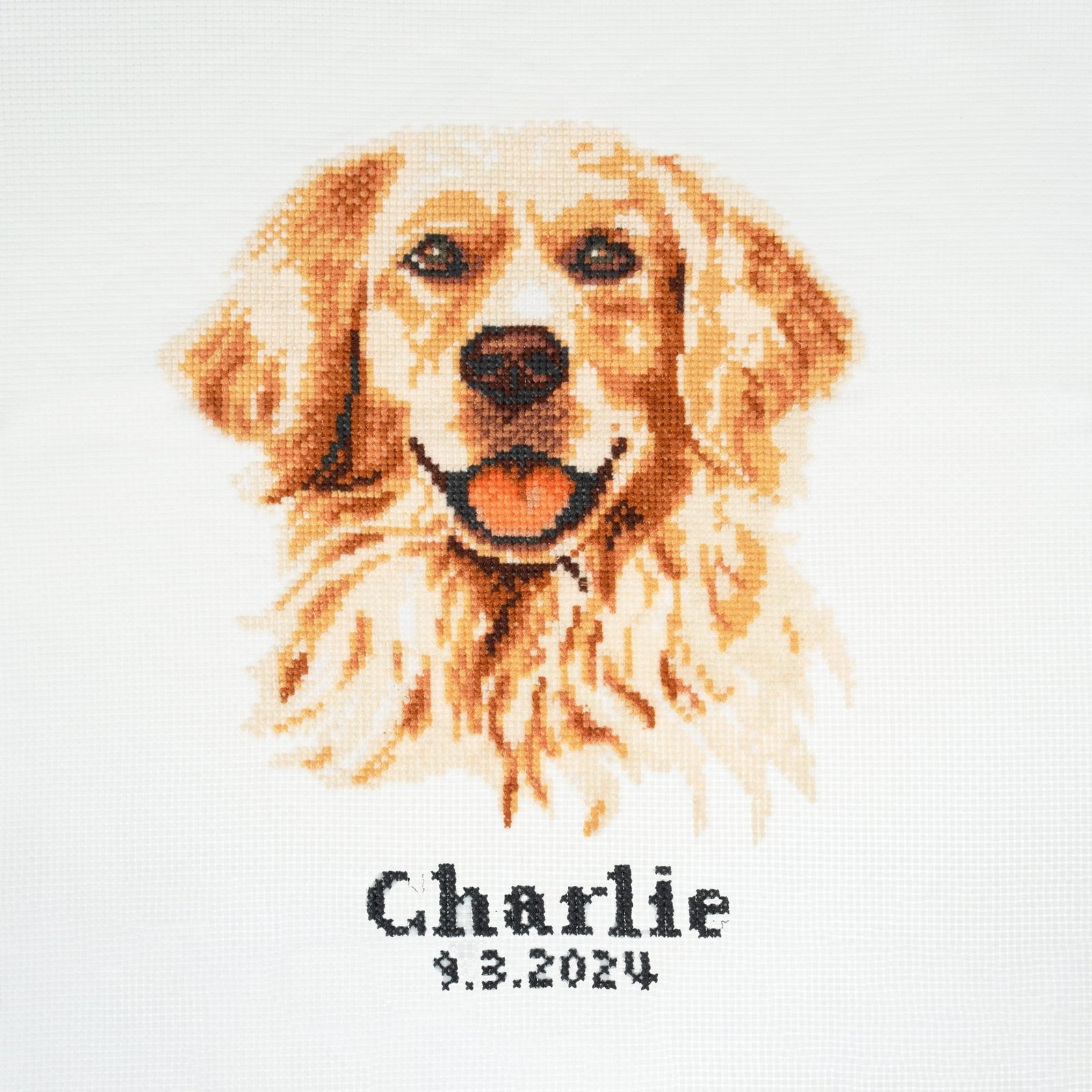 Trimits Large Counted Cross Stitch Kit: Golden Lab Retriever | Buy Online from The Home Crafters