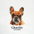 Trimits Large Counted Cross Stitch Kit: French Bulldog