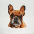 Trimits Large Counted Cross Stitch Kit: French Bulldog